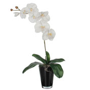 Planta Artificial - Phalaenopsis Branco - MICA